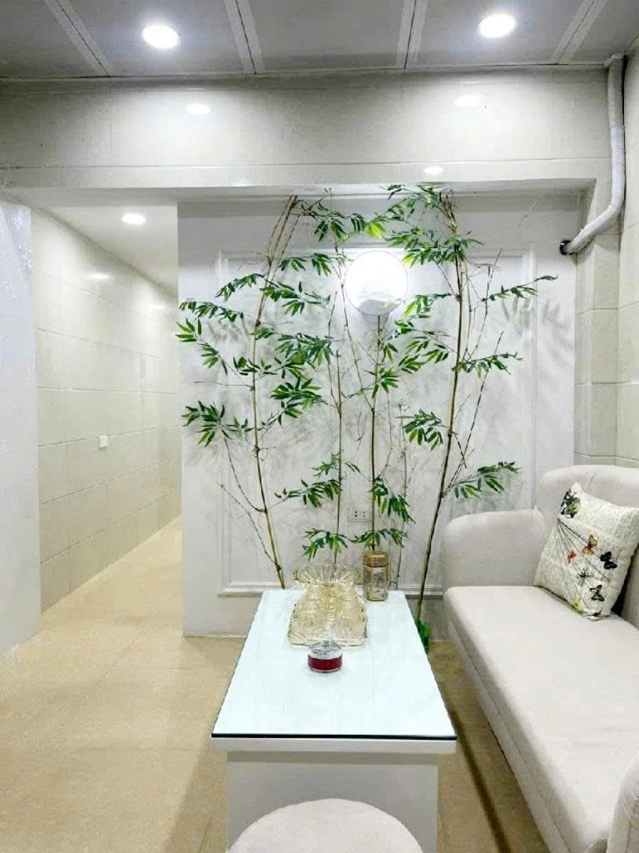 ban_can_ho_tap_the_bui_ngoc_duong (10).jpg